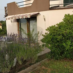 Lavinia Apartman